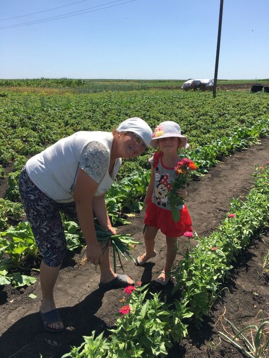 Бабушка с внучкой на огороде